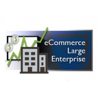Ecommerce Large Enterprise